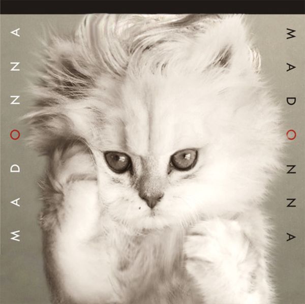 The Kitten Covers. Part 2 (37 pics)