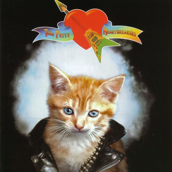 The Kitten Covers. Part 2 (37 pics)