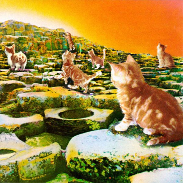 The Kitten Covers. Part 2 (37 pics)