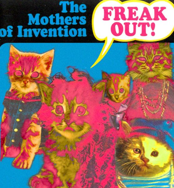The Kitten Covers. Part 2 (37 pics)