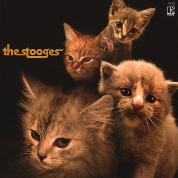 The Kitten Covers. Part 2 (37 pics)