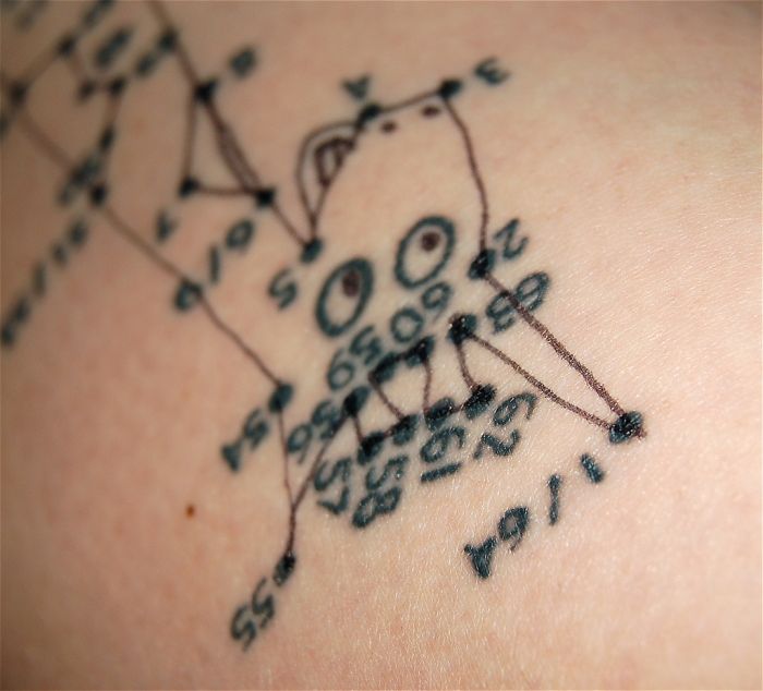 The ConnecttheDots Tattoo (29 pics)