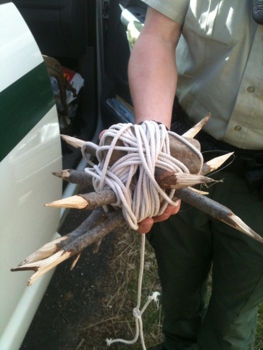 Two Idiots Arrested For Putting Traps In Provo Canyon Park (14 pics)