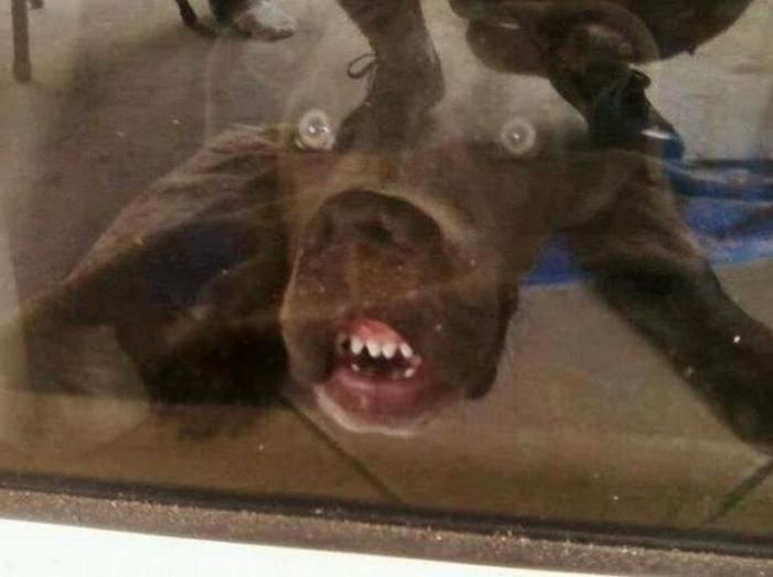 Acid Picdump (113 pics)