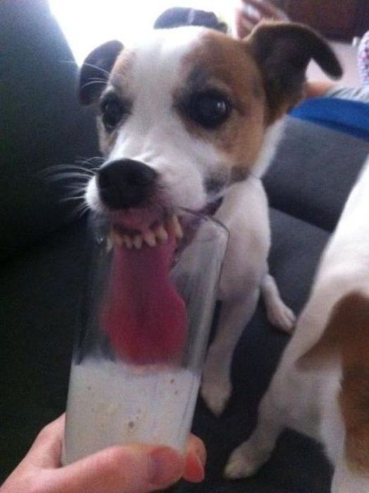 Acid Picdump (113 pics)