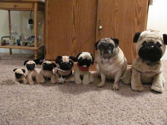 Acid Picdump (113 pics)