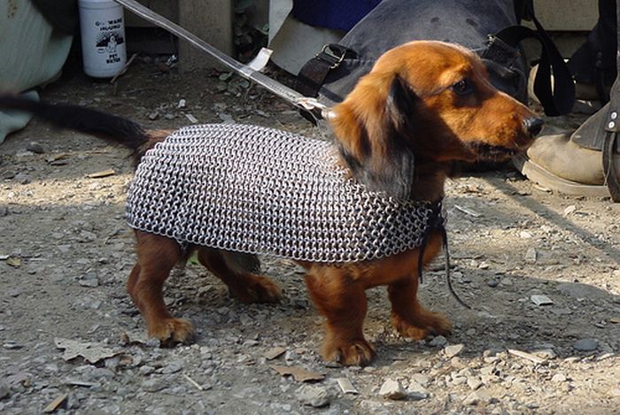 Acid Picdump (113 pics)