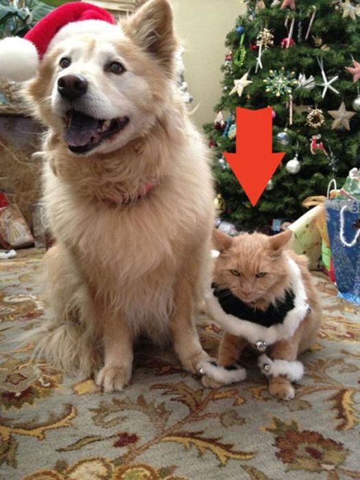 Acid Picdump (113 pics)