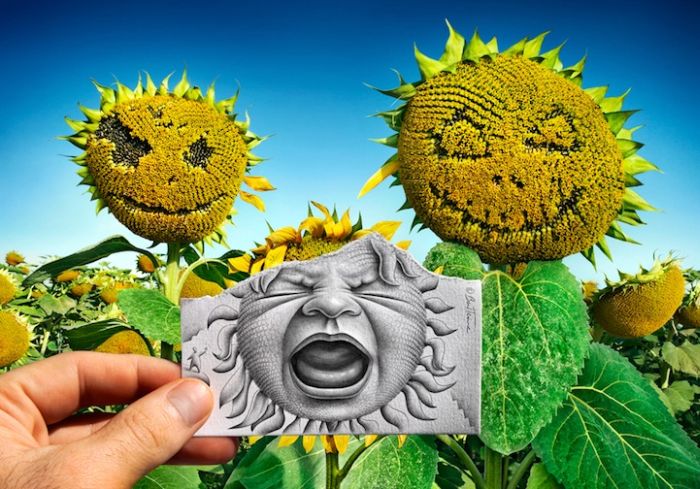 Acid Picdump (113 pics)