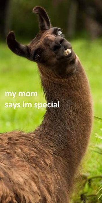 Acid Picdump (113 pics)