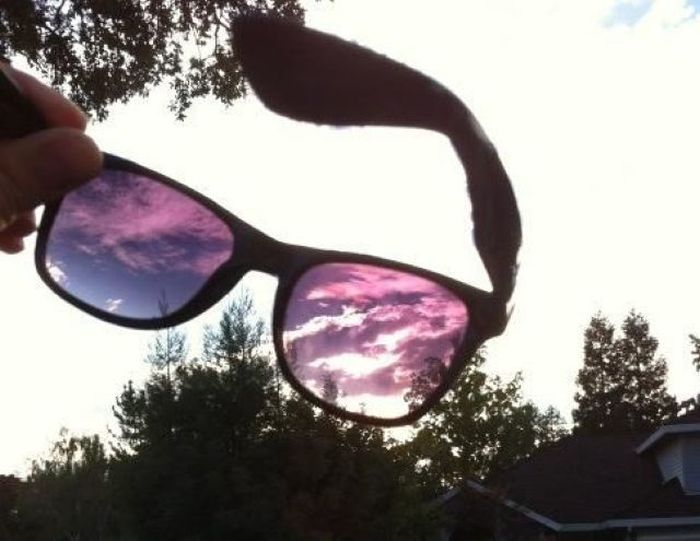 Acid Picdump (113 pics)