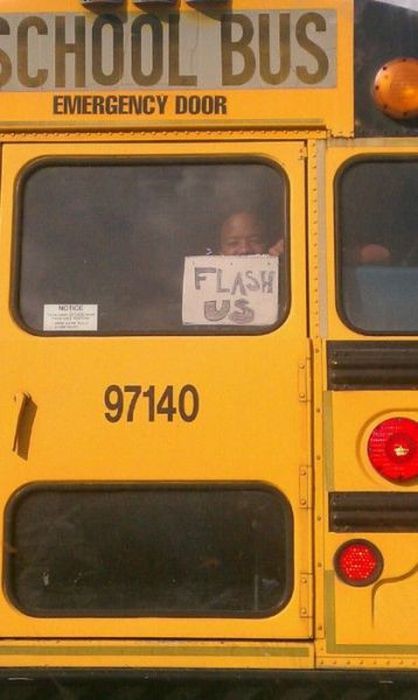 Acid Picdump (113 pics)