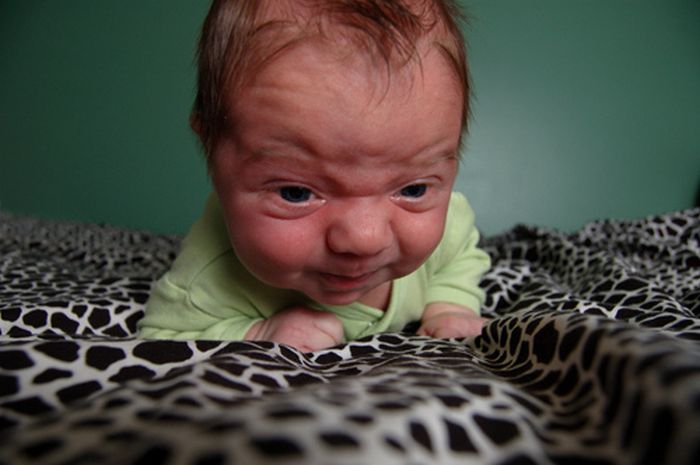 Photos of Angry Babies (30 pics)