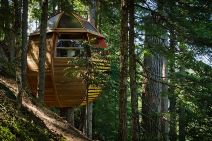 Squatter Tree House in Canada (13 pics)