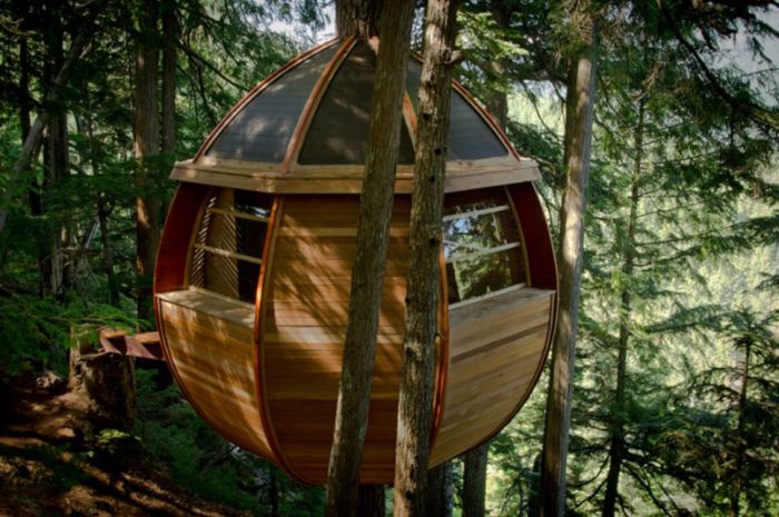 Squatter Tree House in Canada (13 pics)