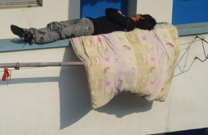 Sleeping Like a Boss (3 pics)