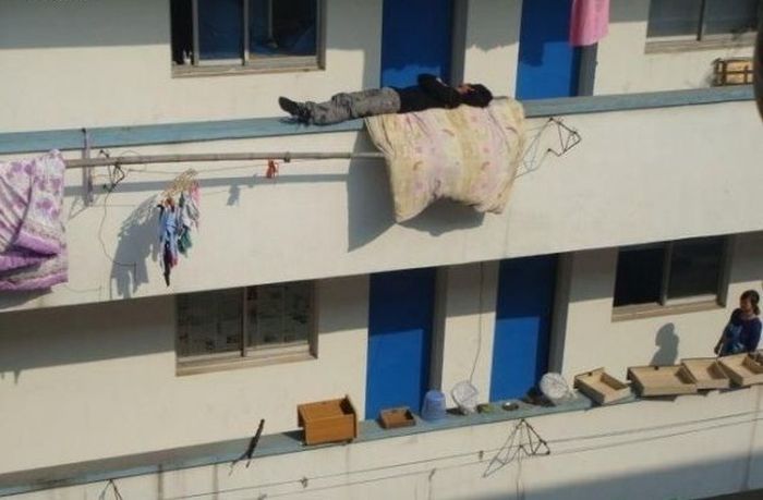Sleeping Like a Boss (3 pics)