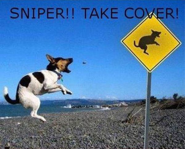 The Best War Ever (25 pics)