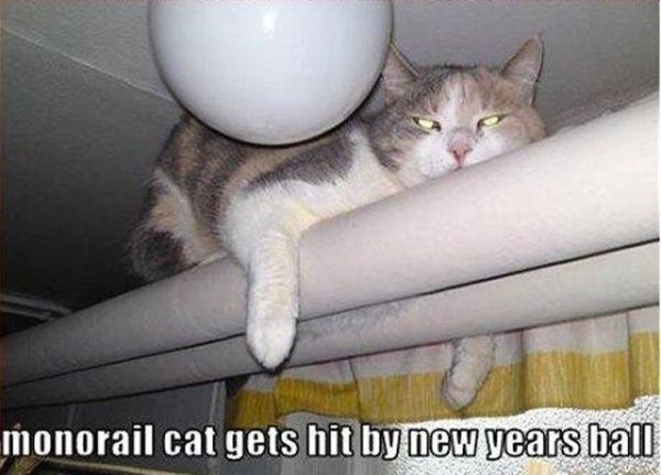 The Best War Ever (25 pics)