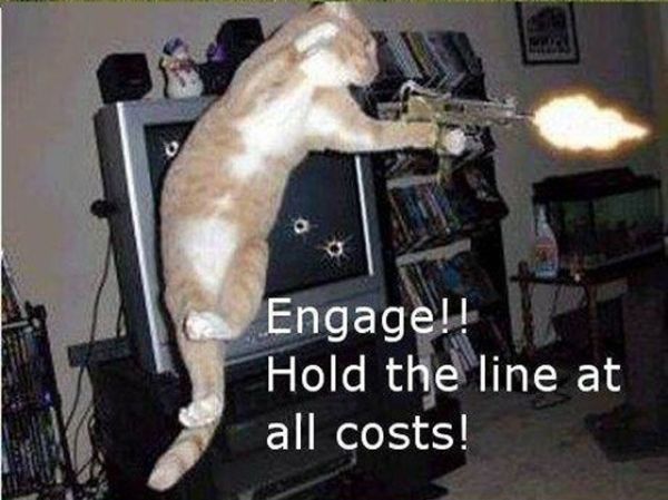 The Best War Ever (25 pics)