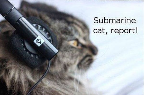 The Best War Ever (25 pics)