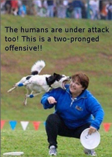 The Best War Ever (25 pics)