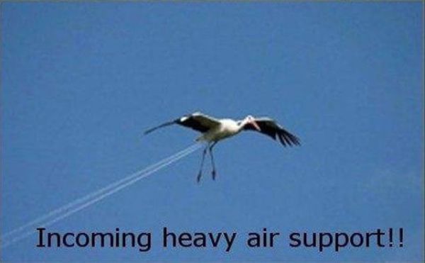 The Best War Ever (25 pics)