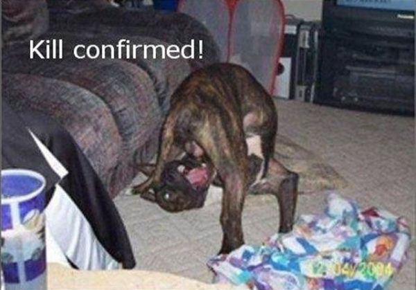 The Best War Ever (25 pics)