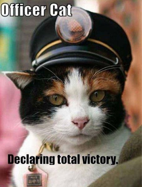 The Best War Ever (25 pics)