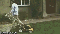 Fails and Wins (50 gifs)