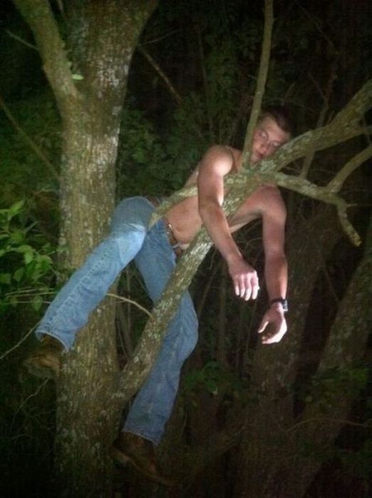 Acid Picdump (84 pics)