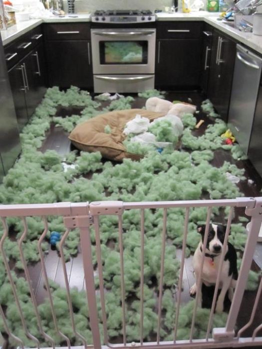 Acid Picdump (84 pics)