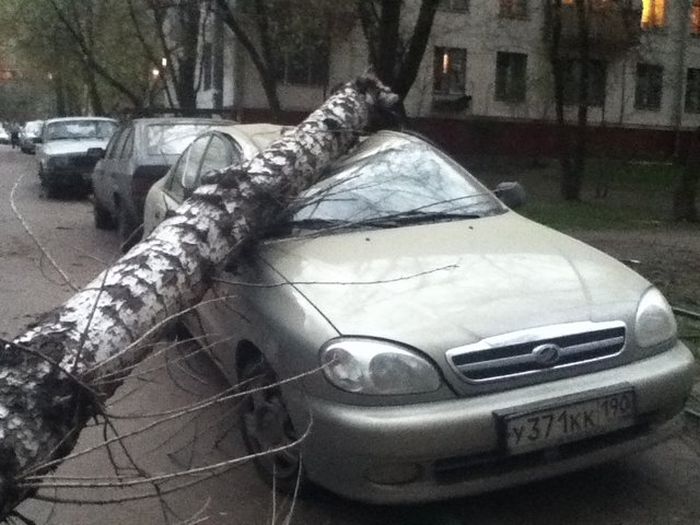 Acid Picdump (84 pics)