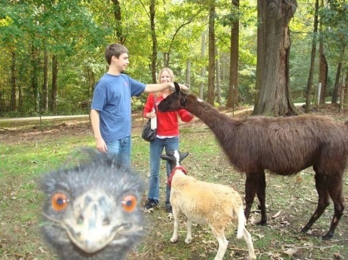 Acid Picdump (84 pics)