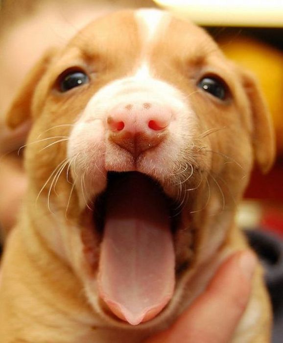 Acid Picdump (84 pics)