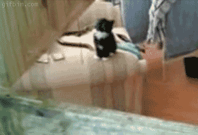 Acid Gifdump (10 gifs)