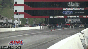 Acid Gifdump (10 gifs)
