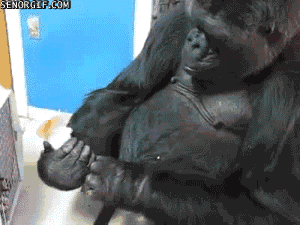 Acid Gifdump (10 gifs)
