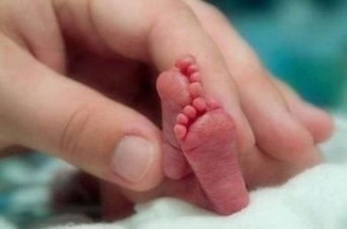 Tiny Cute Things (85 pics)