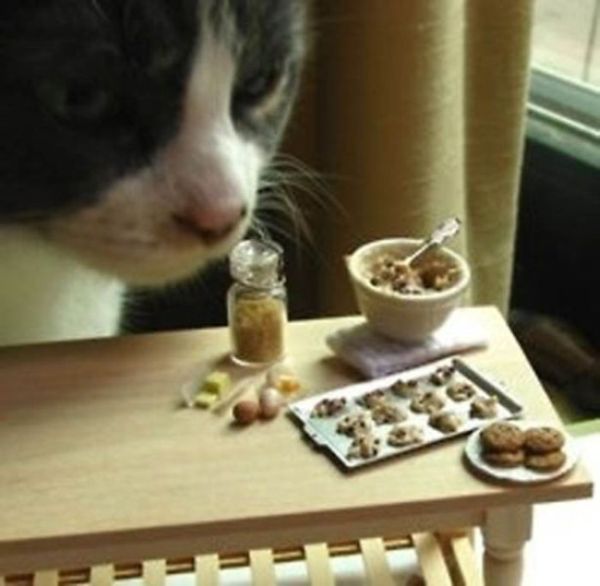 Tiny Cute Things (85 pics)