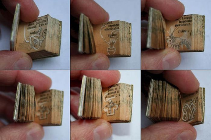 Tiny Cute Things (85 pics)