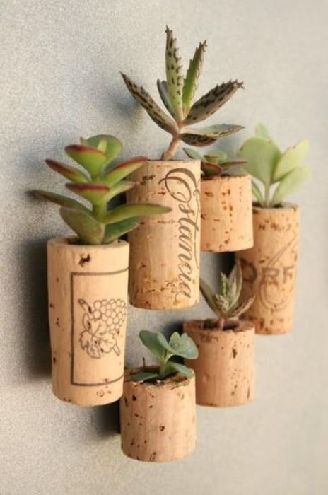 Tiny Cute Things (85 pics)