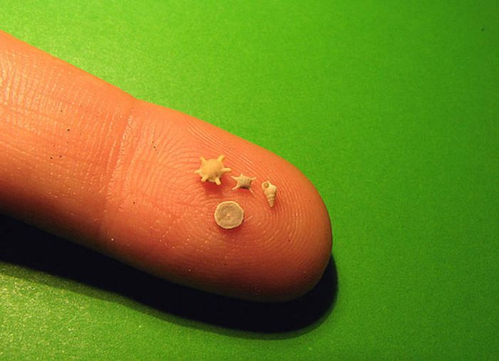 Tiny Cute Things (85 pics)