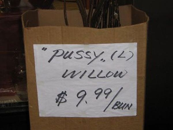 Suspicious Quotation Marks (24 pics)