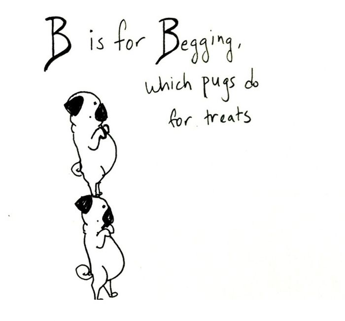 Pug Alphabets (26 pics)
