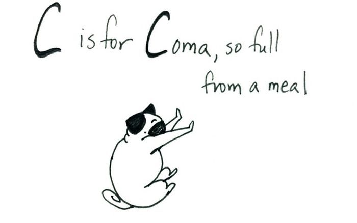 Pug Alphabets (26 pics)