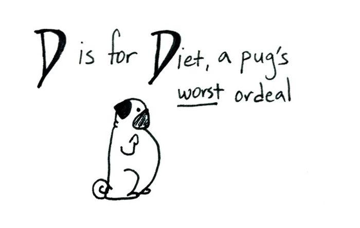 Pug Alphabets (26 pics)