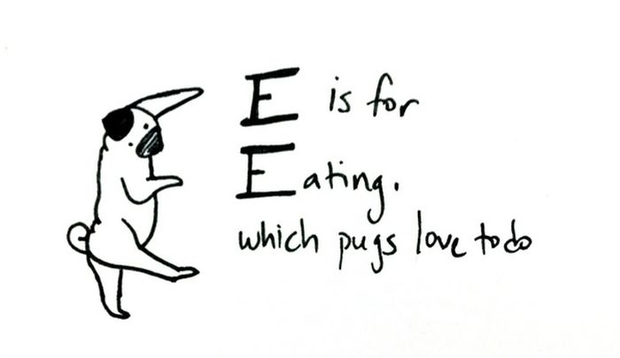 Pug Alphabets (26 pics)