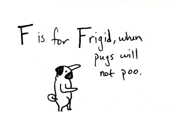 Pug Alphabets (26 pics)