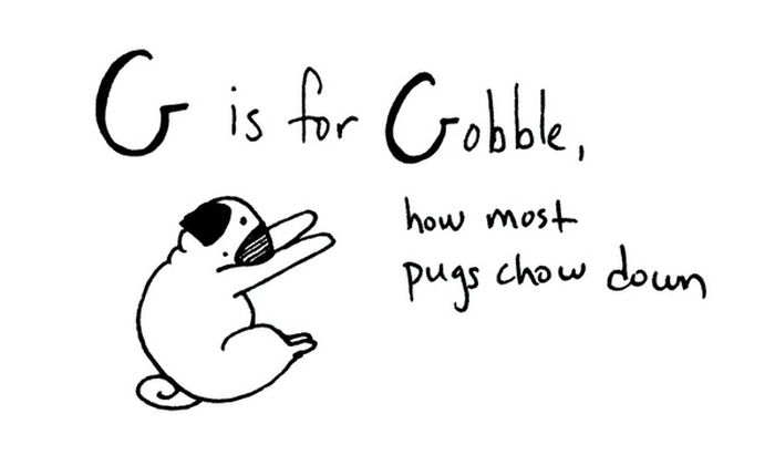 Pug Alphabets (26 pics)